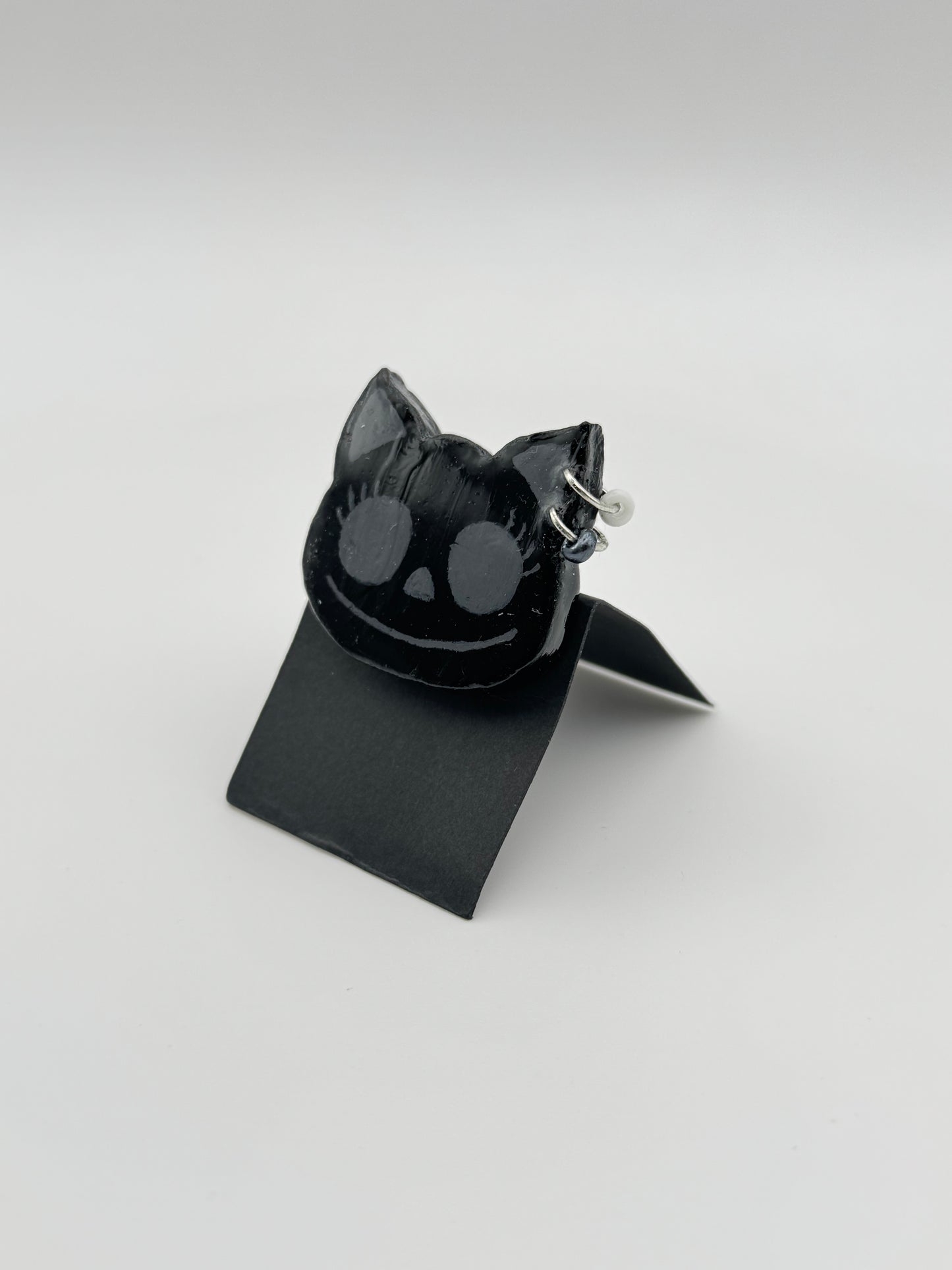 Anstecker Katze